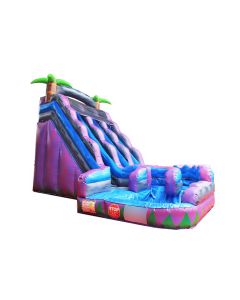18' Dual Tropical Curve Wet/Dry Slide