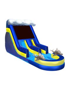 18' Dolphin Wet/Dry Slide