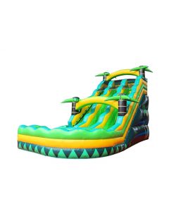 Dual Tropical Curve Wet/Dry Slide